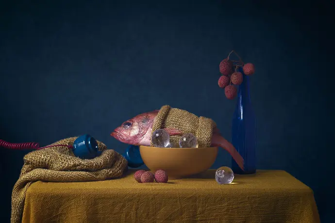 La fabuleux destin d'une Daurade