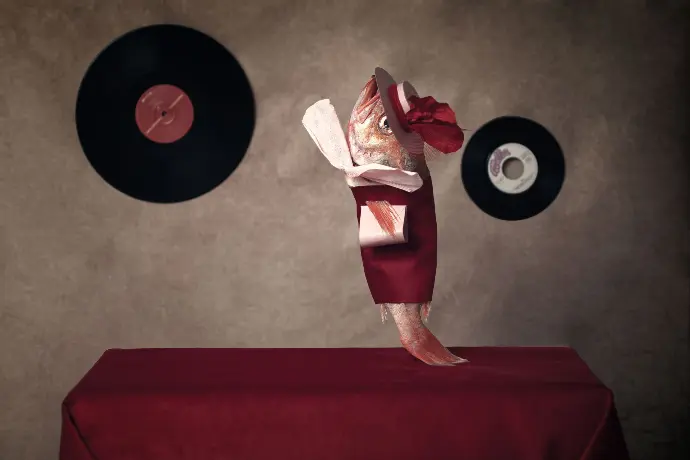 La fabuleux destin d'une Daurade