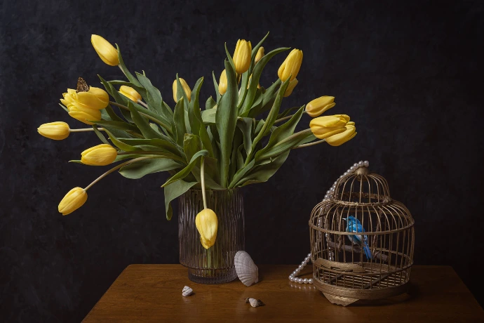 tulipes et oiseau en cage